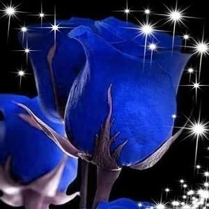 Meet your Posher, Fatima